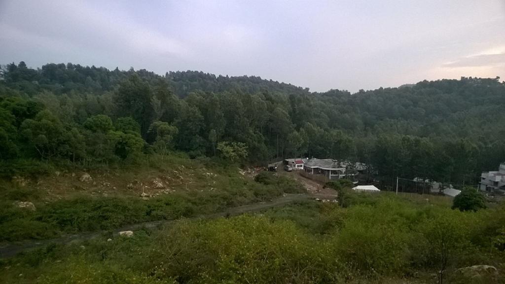 Bison Woods Hotel Yercaud Quarto foto