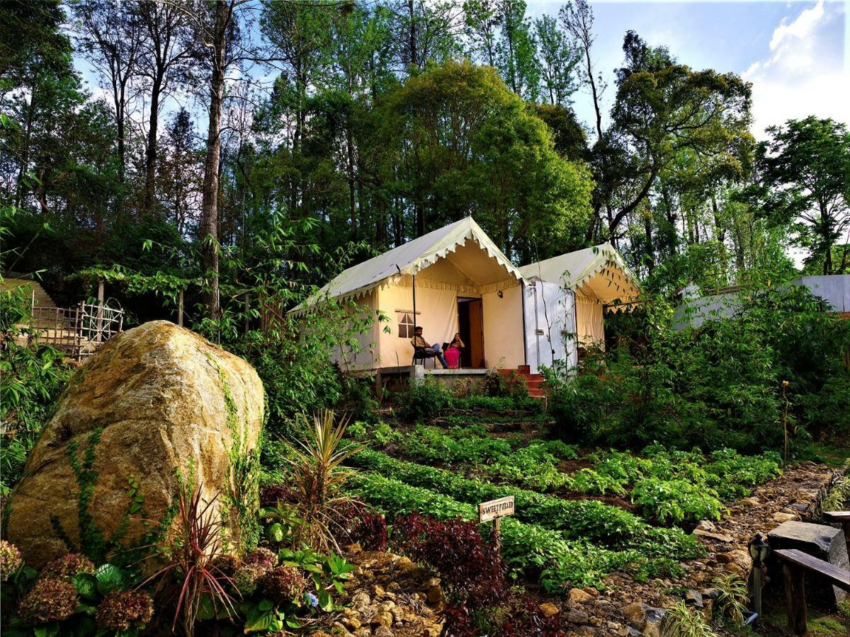 Bison Woods Hotel Yercaud Exterior foto