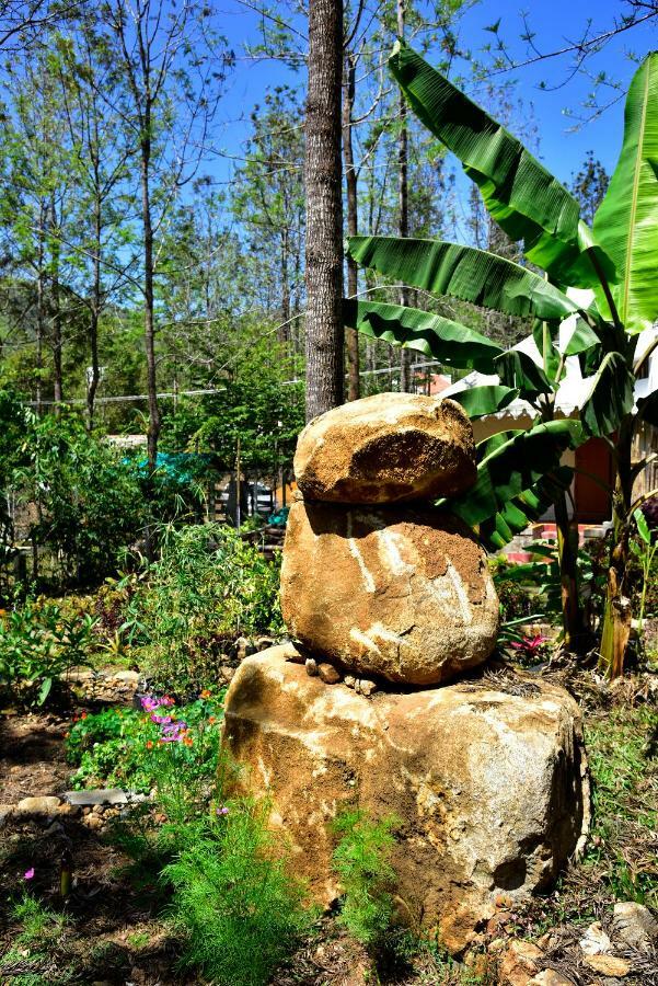 Bison Woods Hotel Yercaud Exterior foto